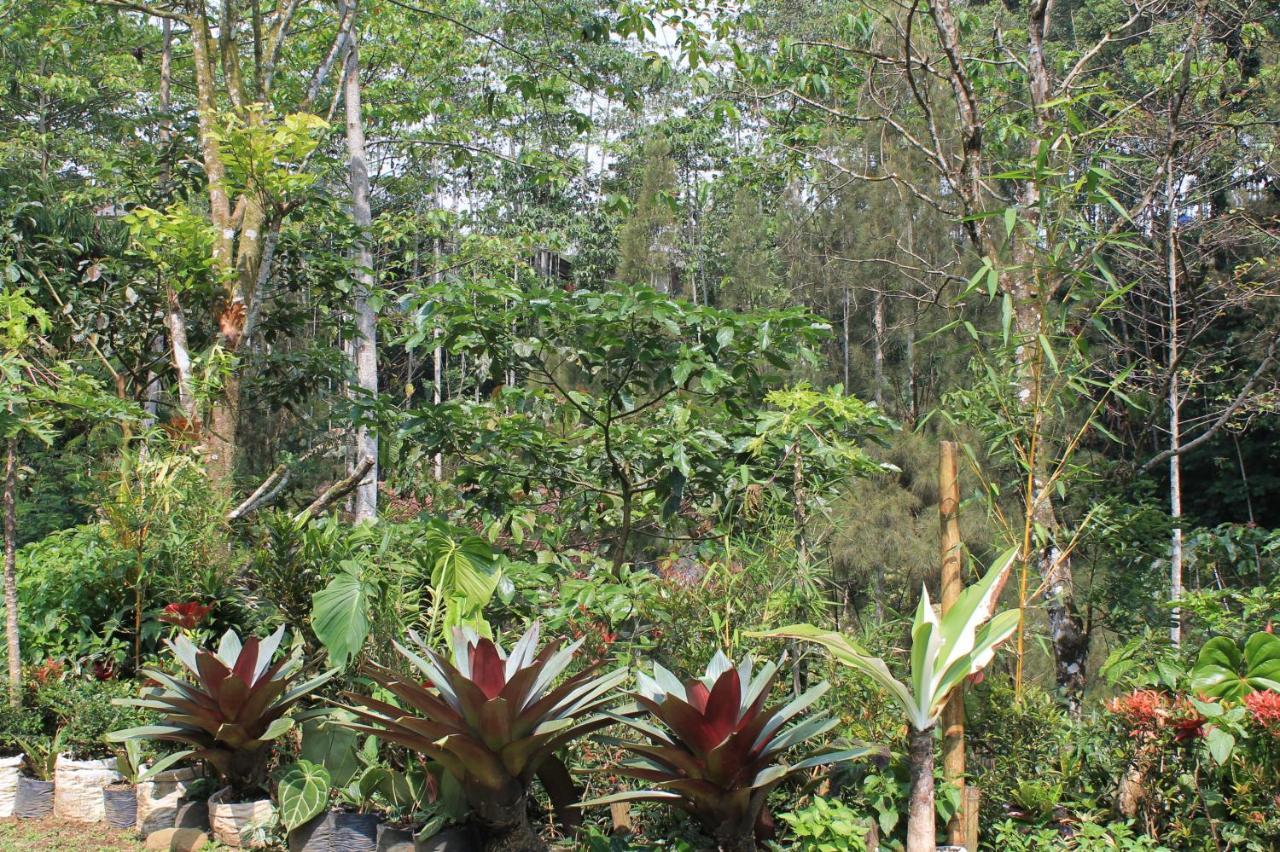 The Forest Villa Bogor Eksteriør bilde