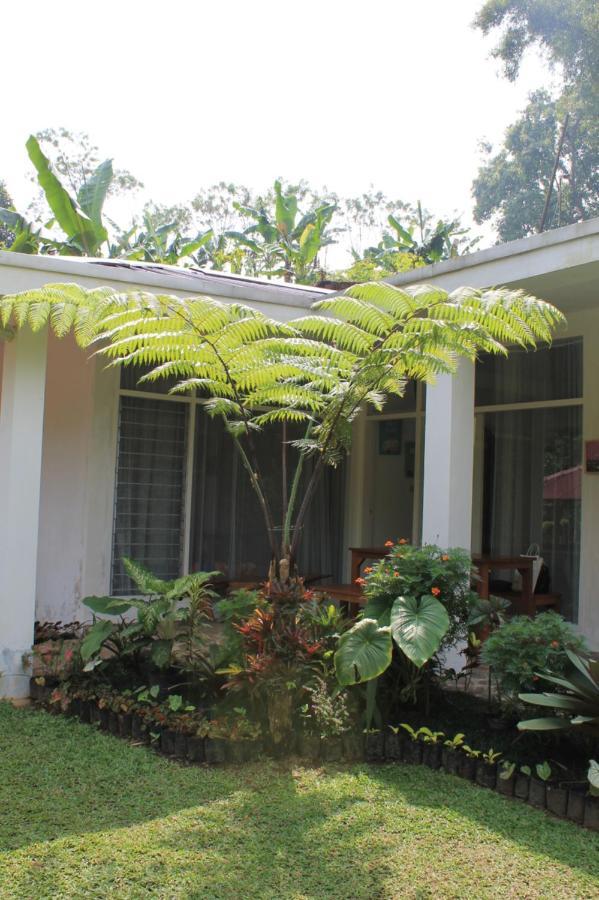 The Forest Villa Bogor Eksteriør bilde