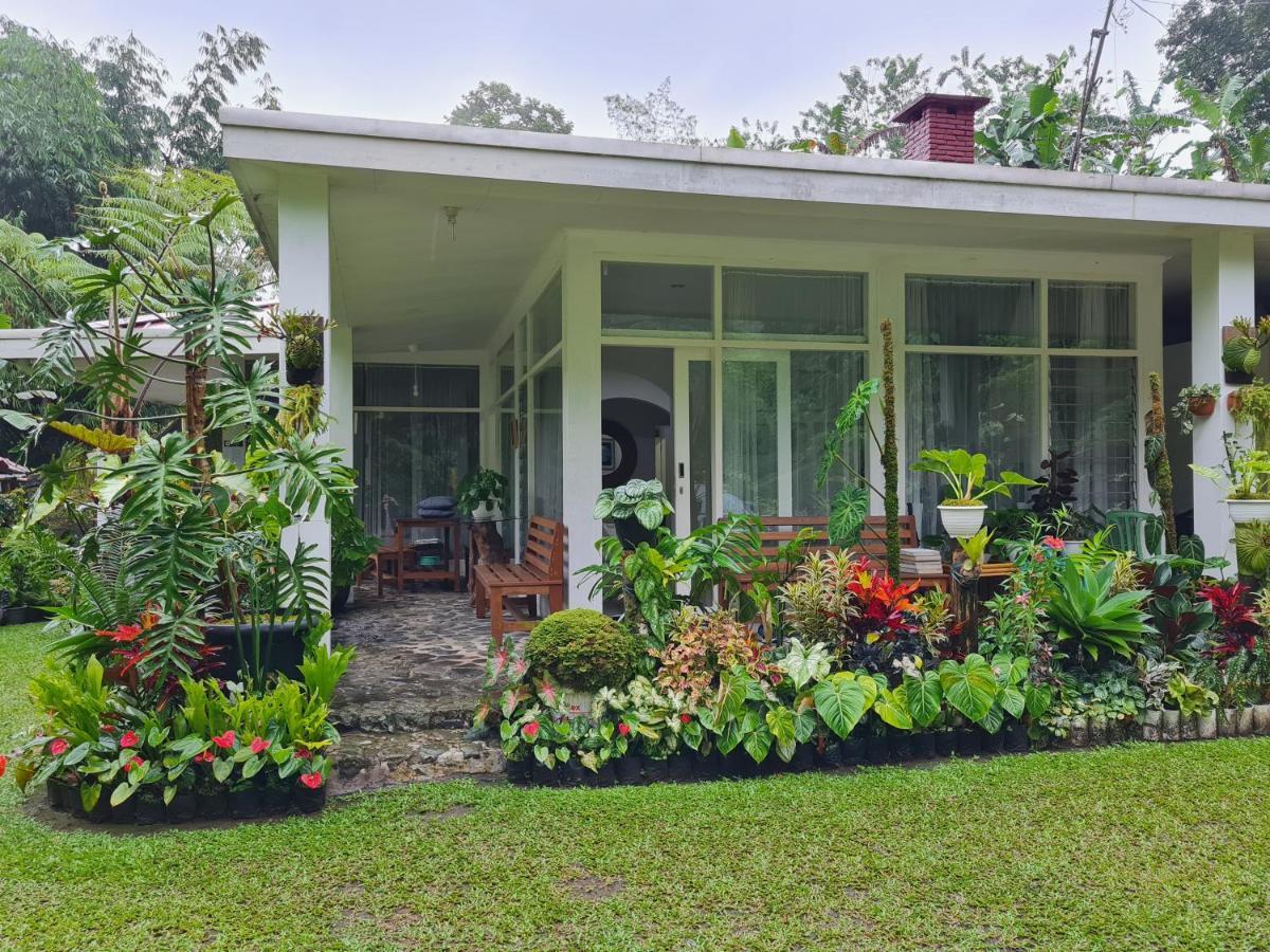 The Forest Villa Bogor Eksteriør bilde